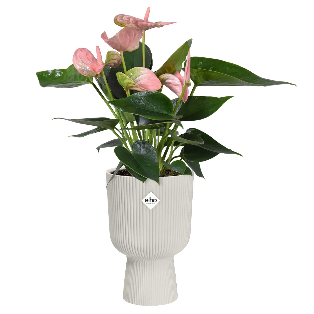 Vaso de flores branco sedoso Vibes dobrável cupê Elho 30 cm