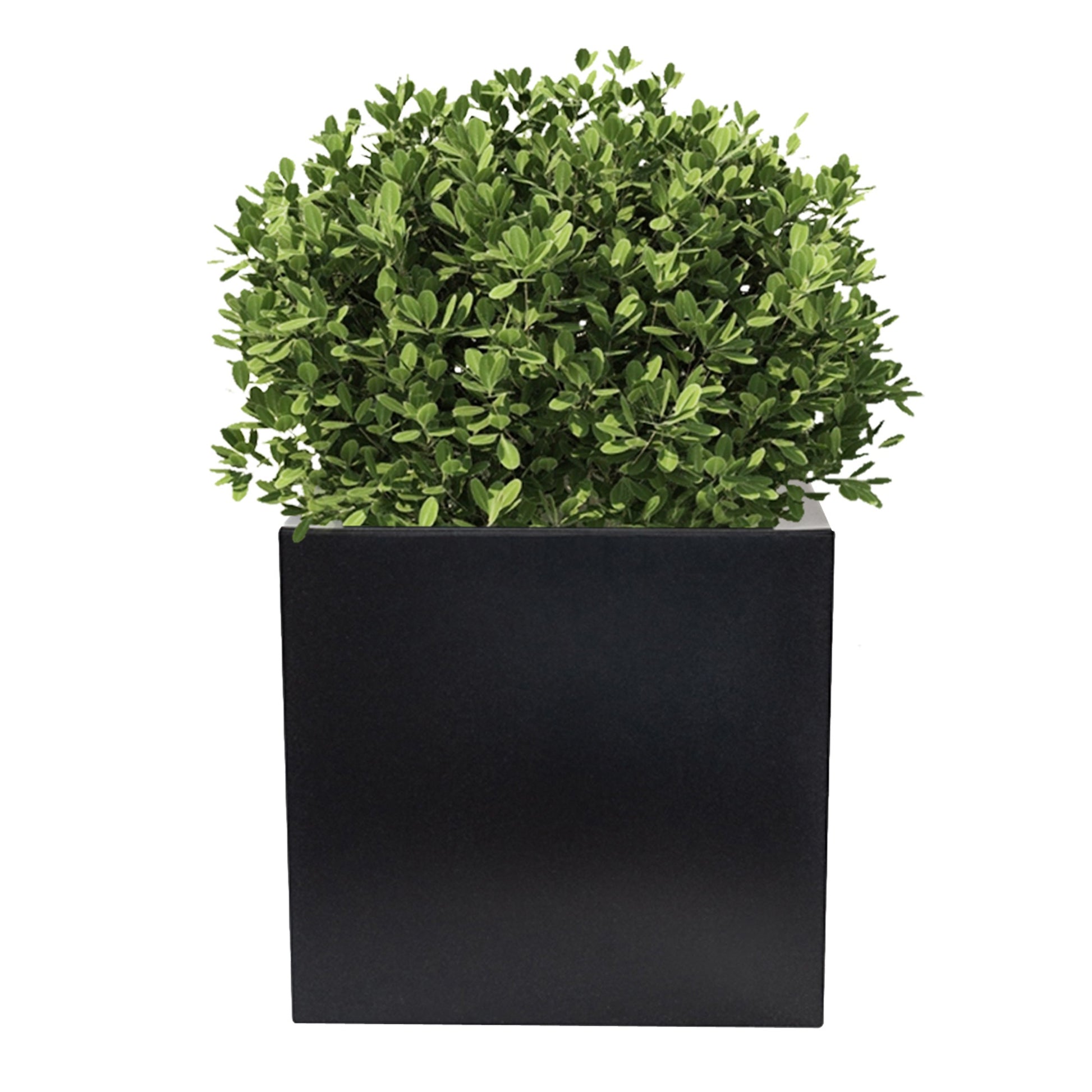 Macetero De Polietileno Antracita 50x50 Cm