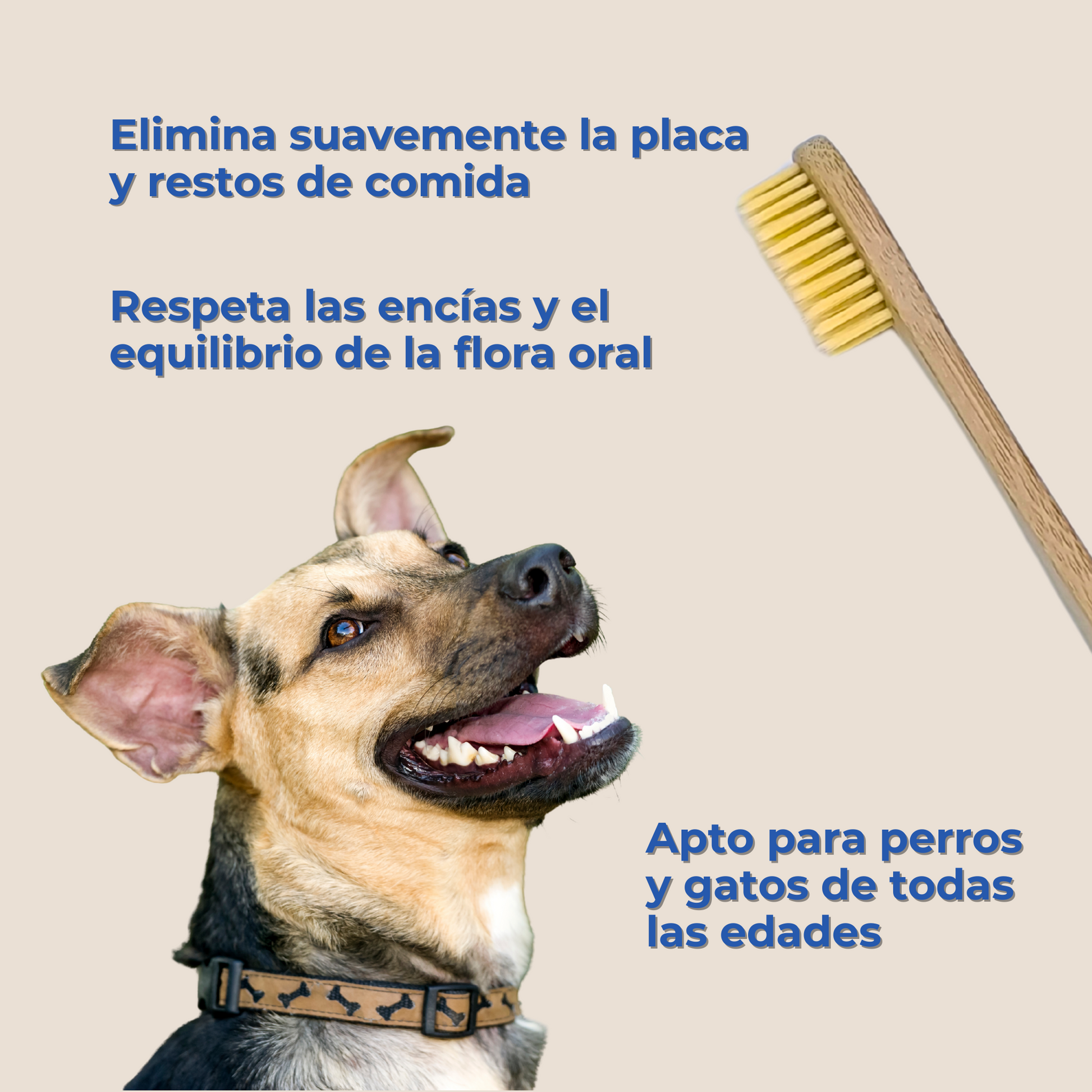 Cepillo de Dientes de Bambú para Perros y Gatos