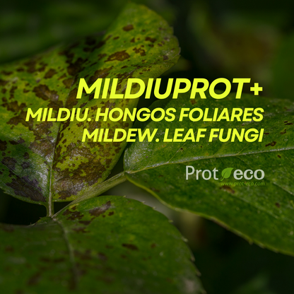 Tratamiento Ecológico Contra Mildiu En Plantas Mildiuprot Prot-eco (100 Ml)+ pipeta dosificadora de 5 ml gratis_1