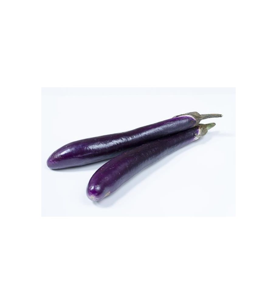 Plantón Berenjena China (10 Unidades)_0