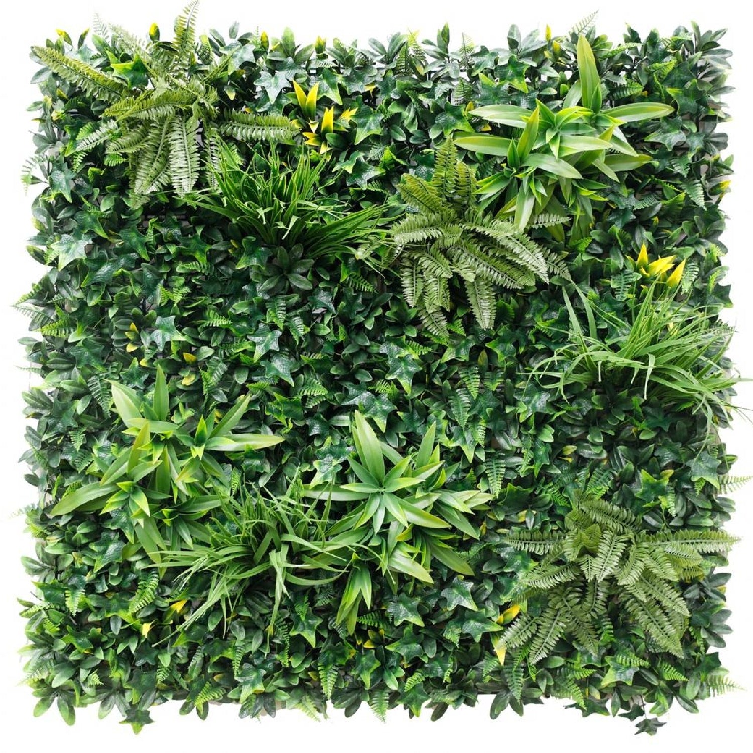 Bonerva | Jardín Vertical Salvaje Plus | Pieza 100x100 Cm_0