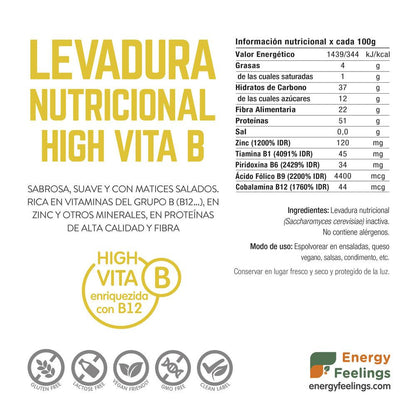 Embalagem de 2 flocos de levedura nutricional com vitamina B12, Energy Feelings, 1 kg