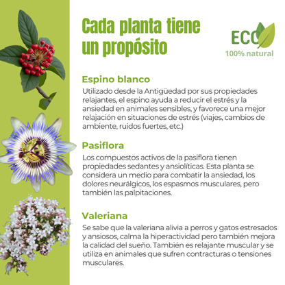 Suplemento natural para perros y gatos – Fórmula Serenidad ECO 100 g_2