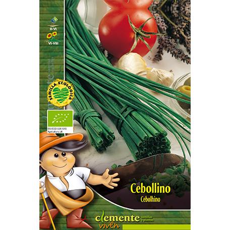 Sementes de cebolinho biológico