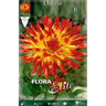 Bulbo Dalia Cactus amarilla punta roja 1 ud