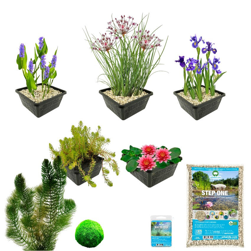 Pack Completo Estanque Rojo 100-400l - Oxigenantes & Ribera - 42l_2
