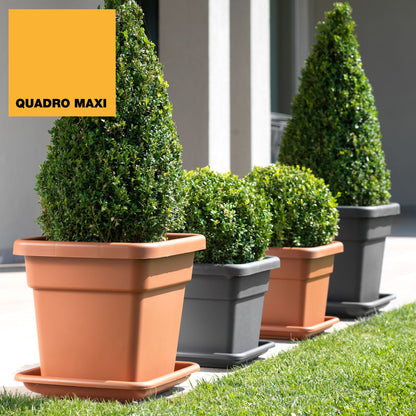 Platillo Para Maceta Maxi 38 Cm Terracota