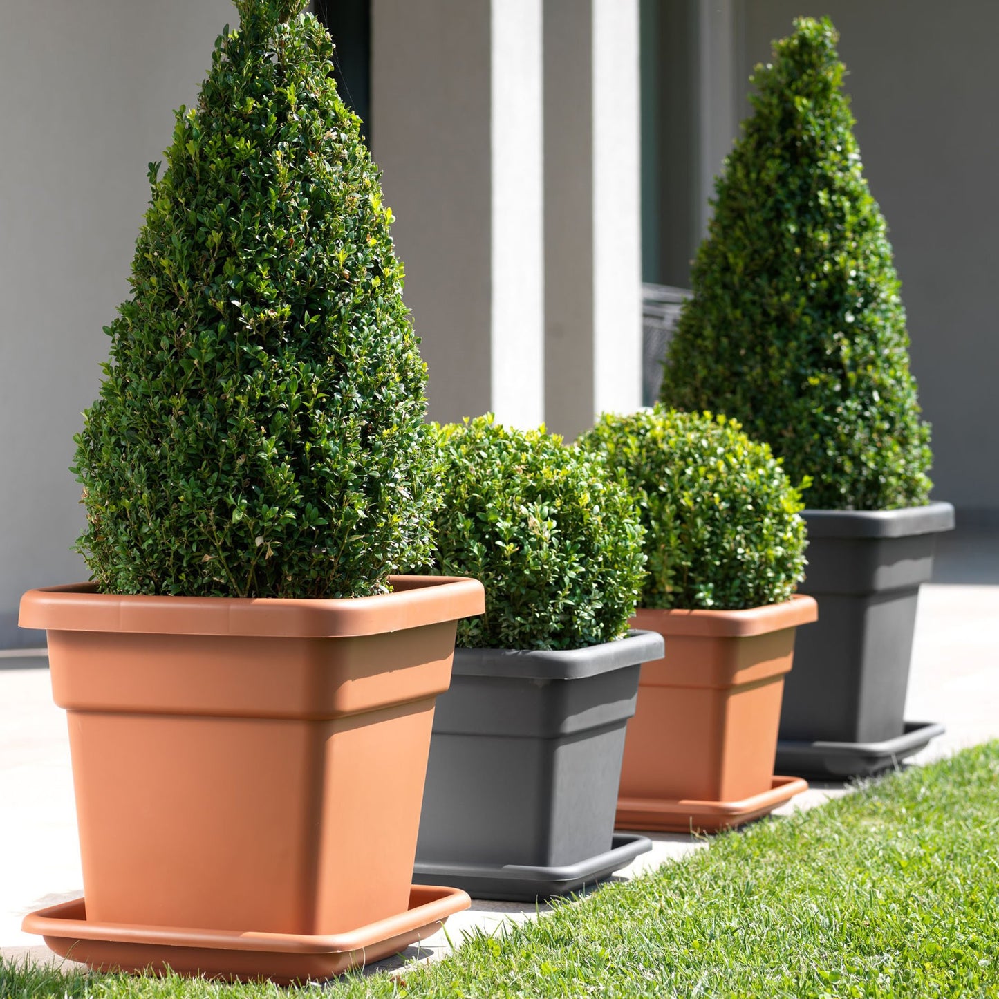 Platillo Para Maceta Maxi 38 Cm Terracota