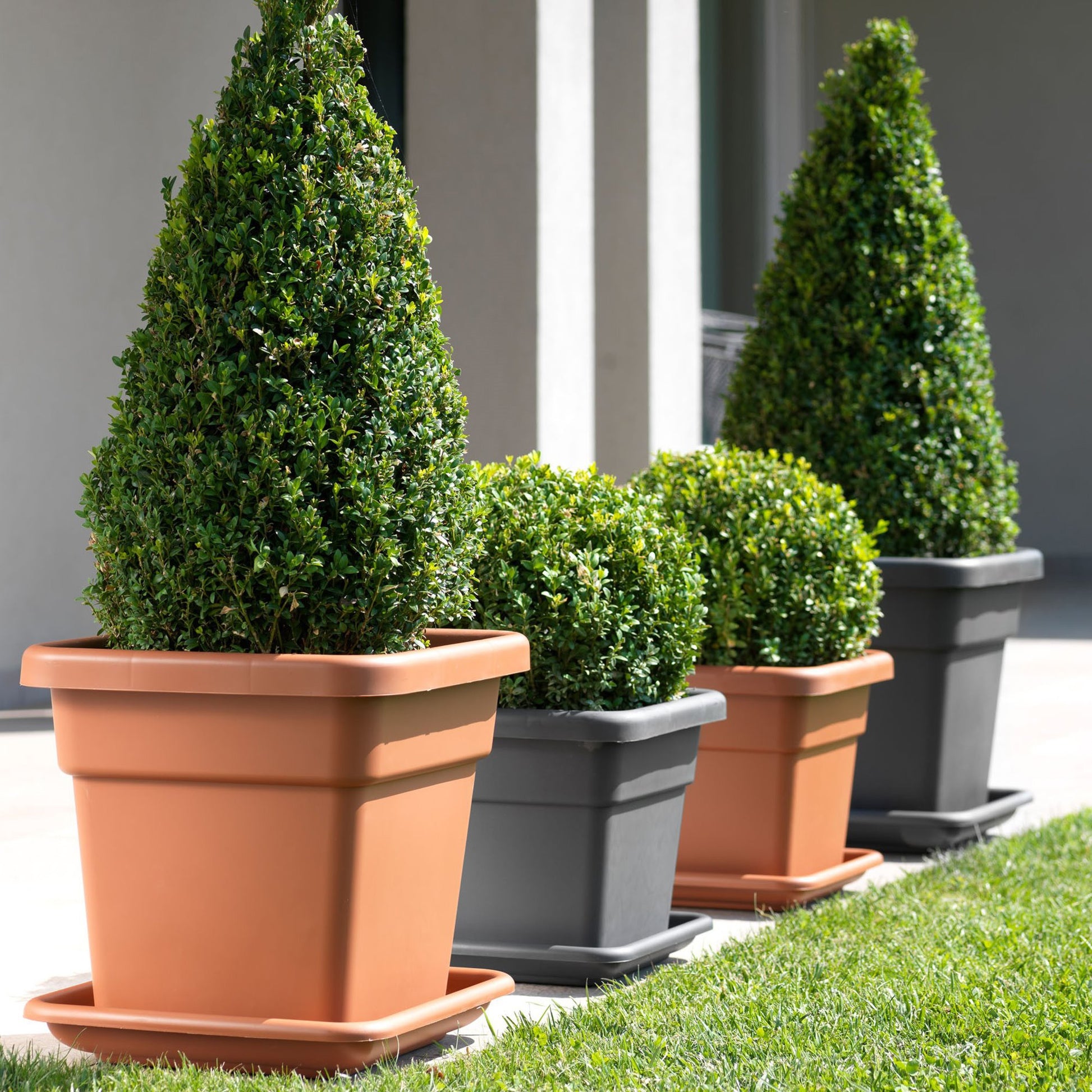 Platillo Para Maceta Maxi 38 Cm Terracota