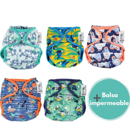 Embalagem com 5 suportes pop-in