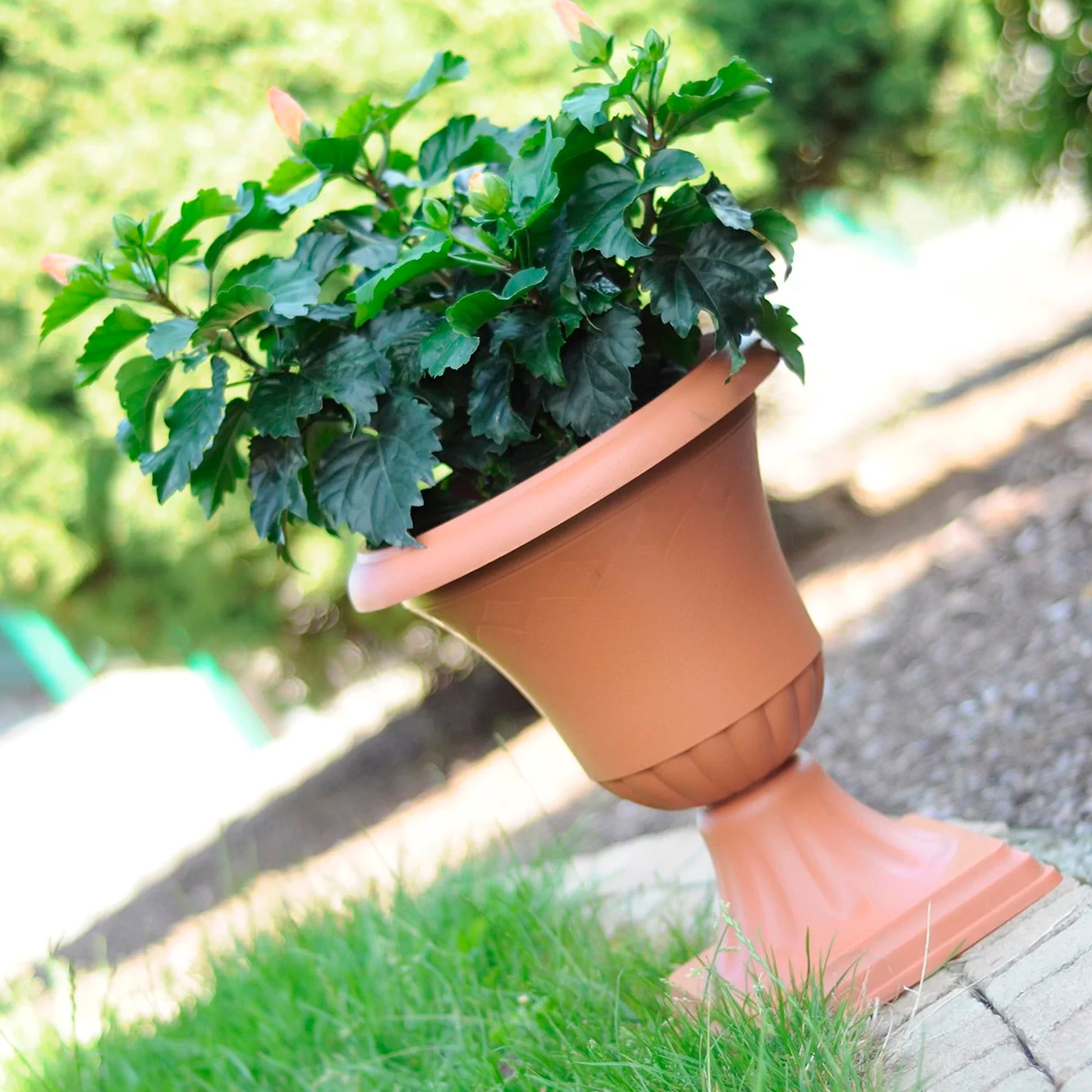 Maceta Ornamental Con Pie Atena 22l., Dimensiones (mm) 474x474x612, Color Terracota