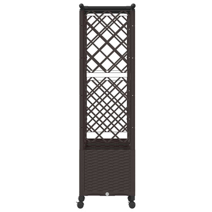 Cama Elevada Con Trellis Y Techo Marrón 162,5 X 40 X 142 Cm Pp_4