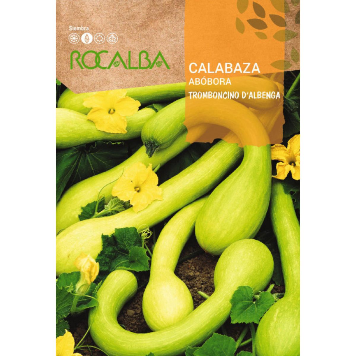Semillas de Calabaza tromboncino d'albenga