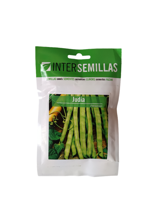 Semillas De Judia Variedad Phenomeen 100 Gr._0