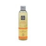 Champô de Tratamento Reparador Bio Abacate e Ginkgo 250 ml NaturaBIO