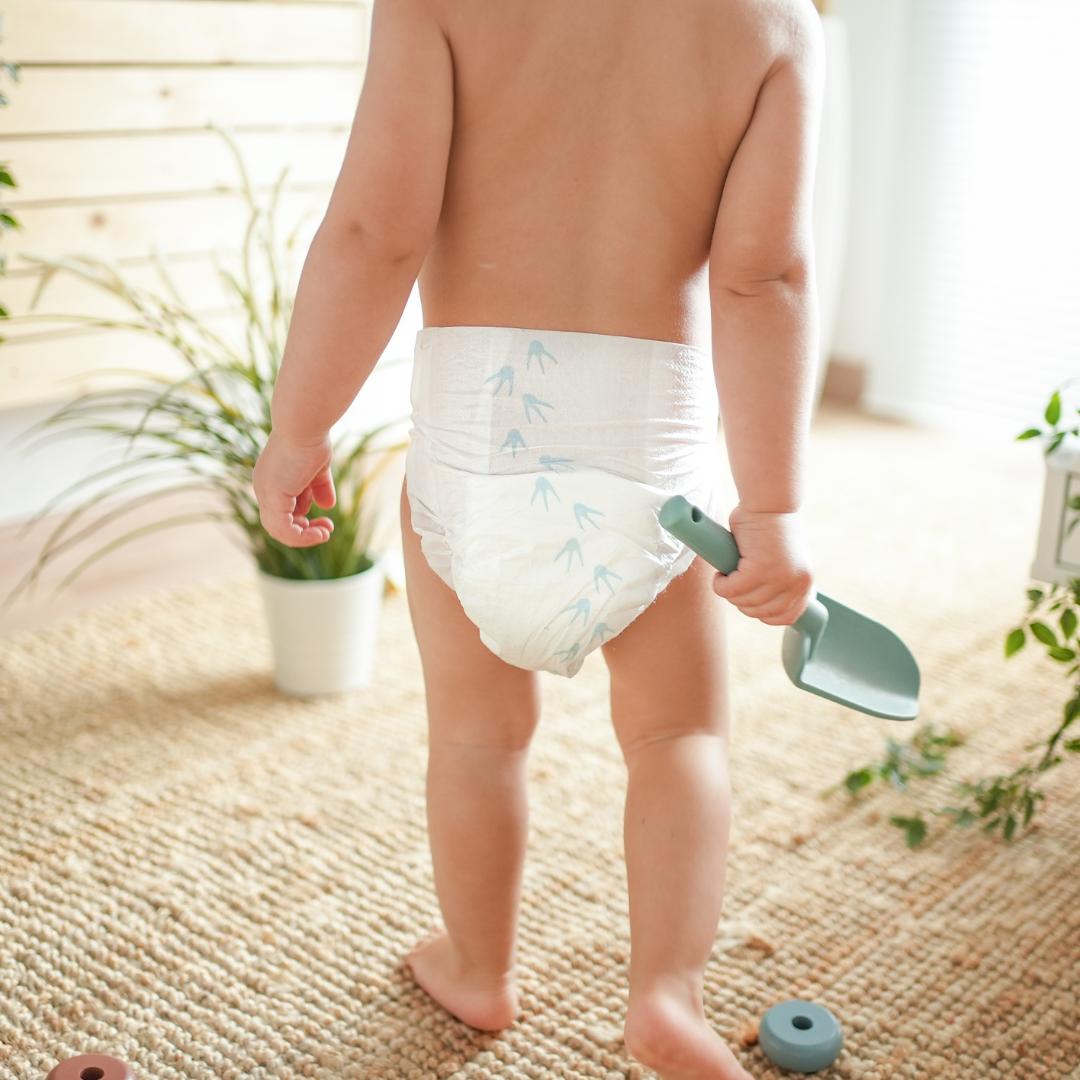 Pack Poupança Fraldas T6 XL (15-30kg) Pingo 64 unidades 64 unidades