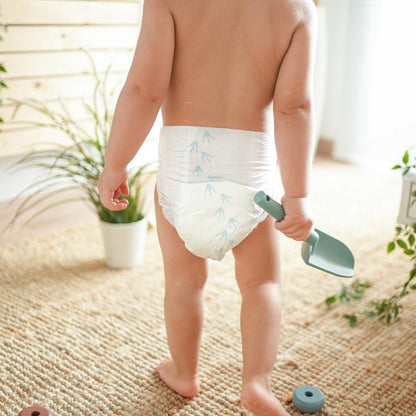 Pack Poupança Fraldas T6 XL (15-30kg) Pingo 64 unidades 64 unidades