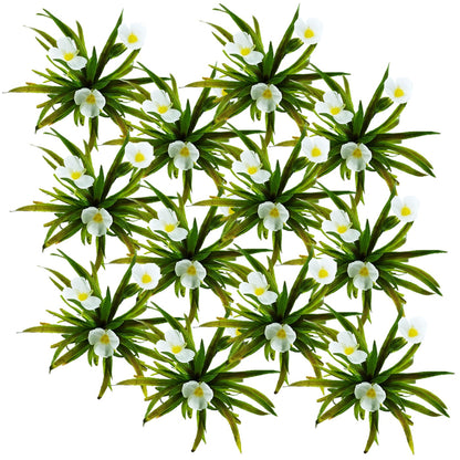 Estratiote - Stratiotes Aloides - 12 Plantas_0