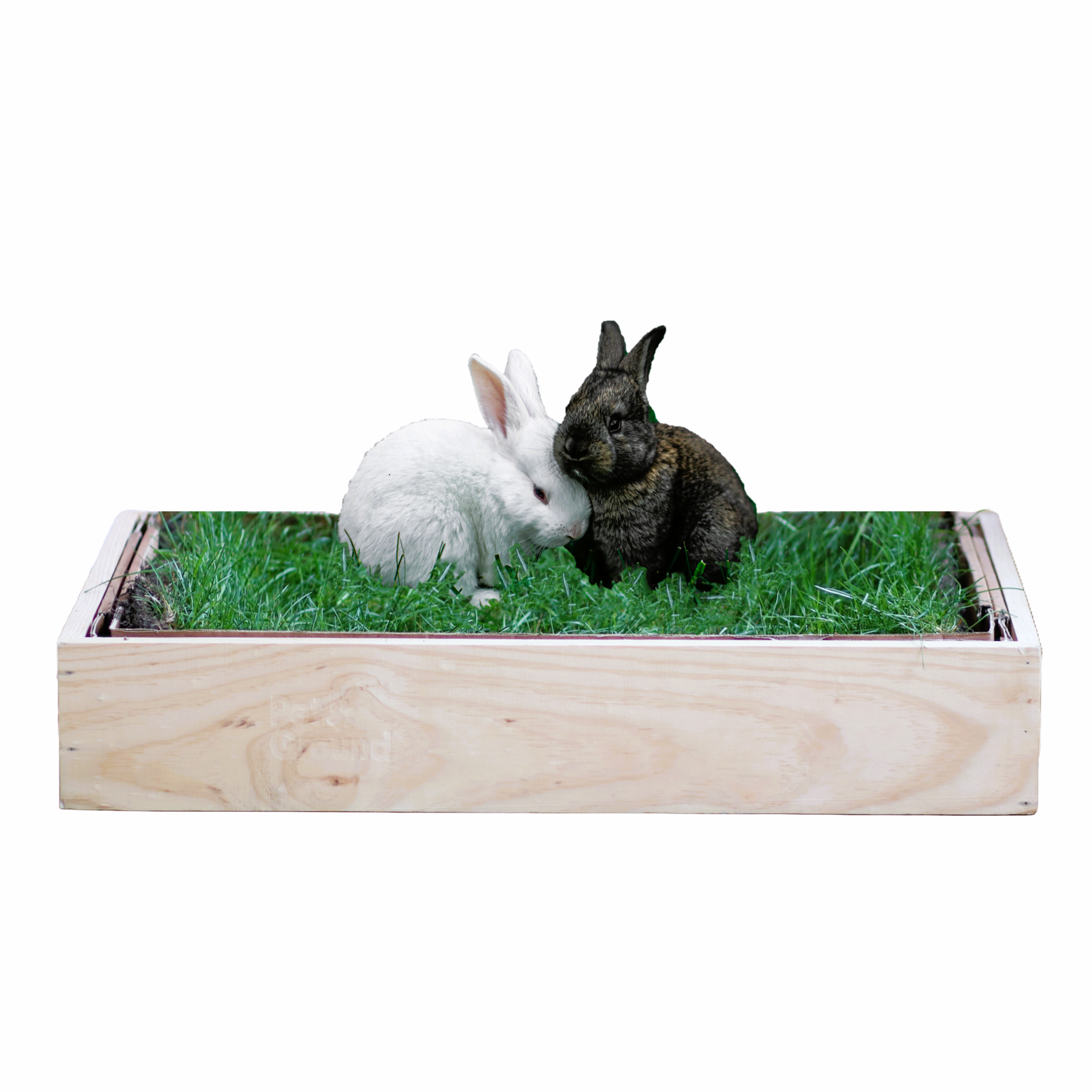 Petground, Cama Para Conejos, Caja De Madera, Accesorio, Mueble Xl: 120 X 42 Cm_0