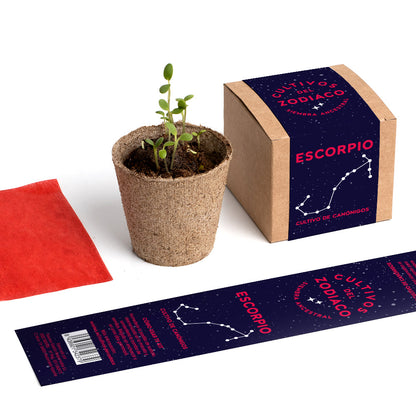Cultivos Del Zodiaco – Escorpio | Kit De Cultivo Con Semillas De Canónigos_4