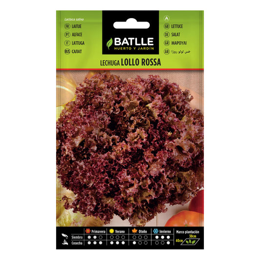 Sementes de alface Lollo rosa Batlle