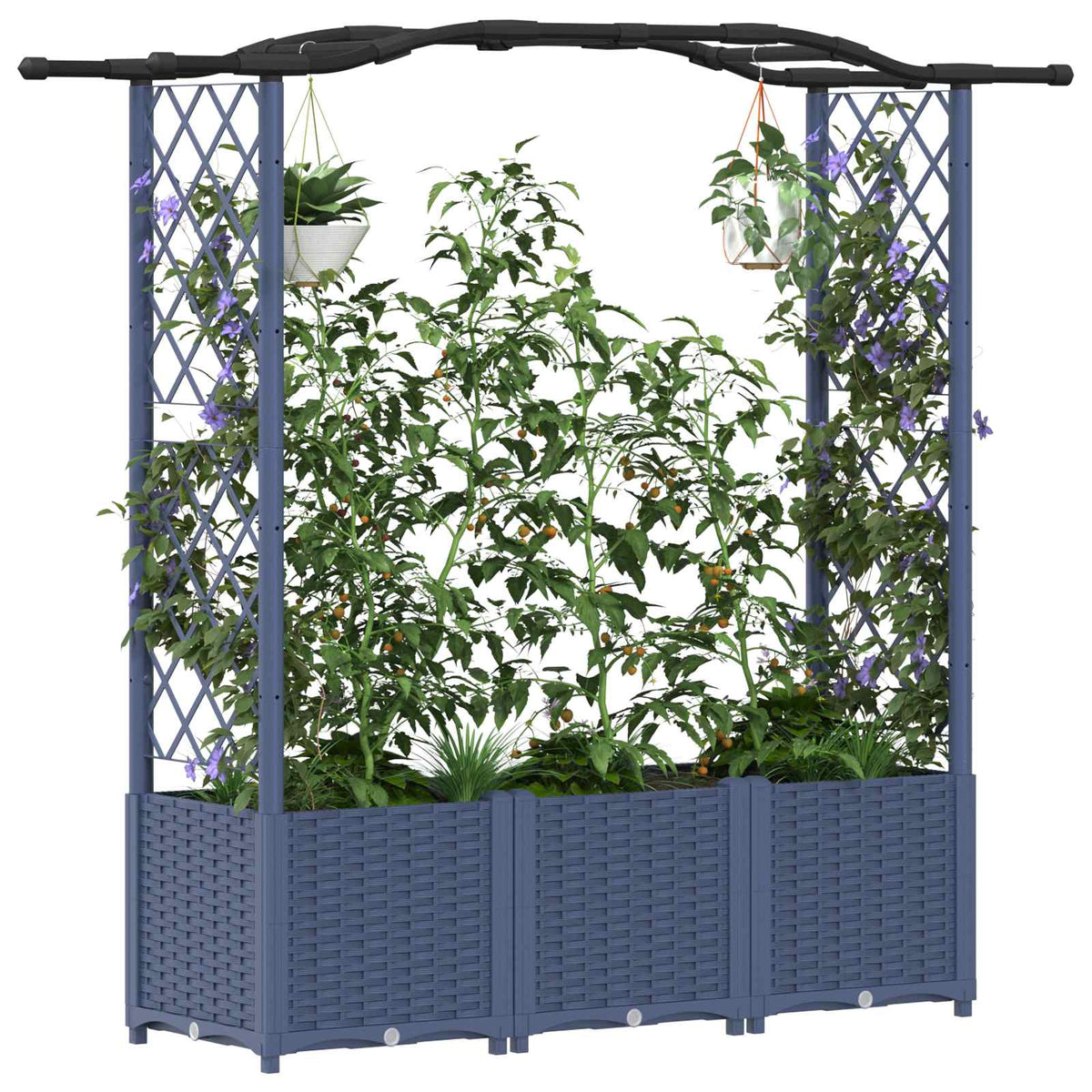 Cama Elevada Con Trellis Y Techo Gris 164 X 40 X 138 Cm Pp_2
