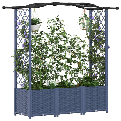 Cama Elevada Con Trellis Y Techo Gris 164 X 40 X 138 Cm Pp_2