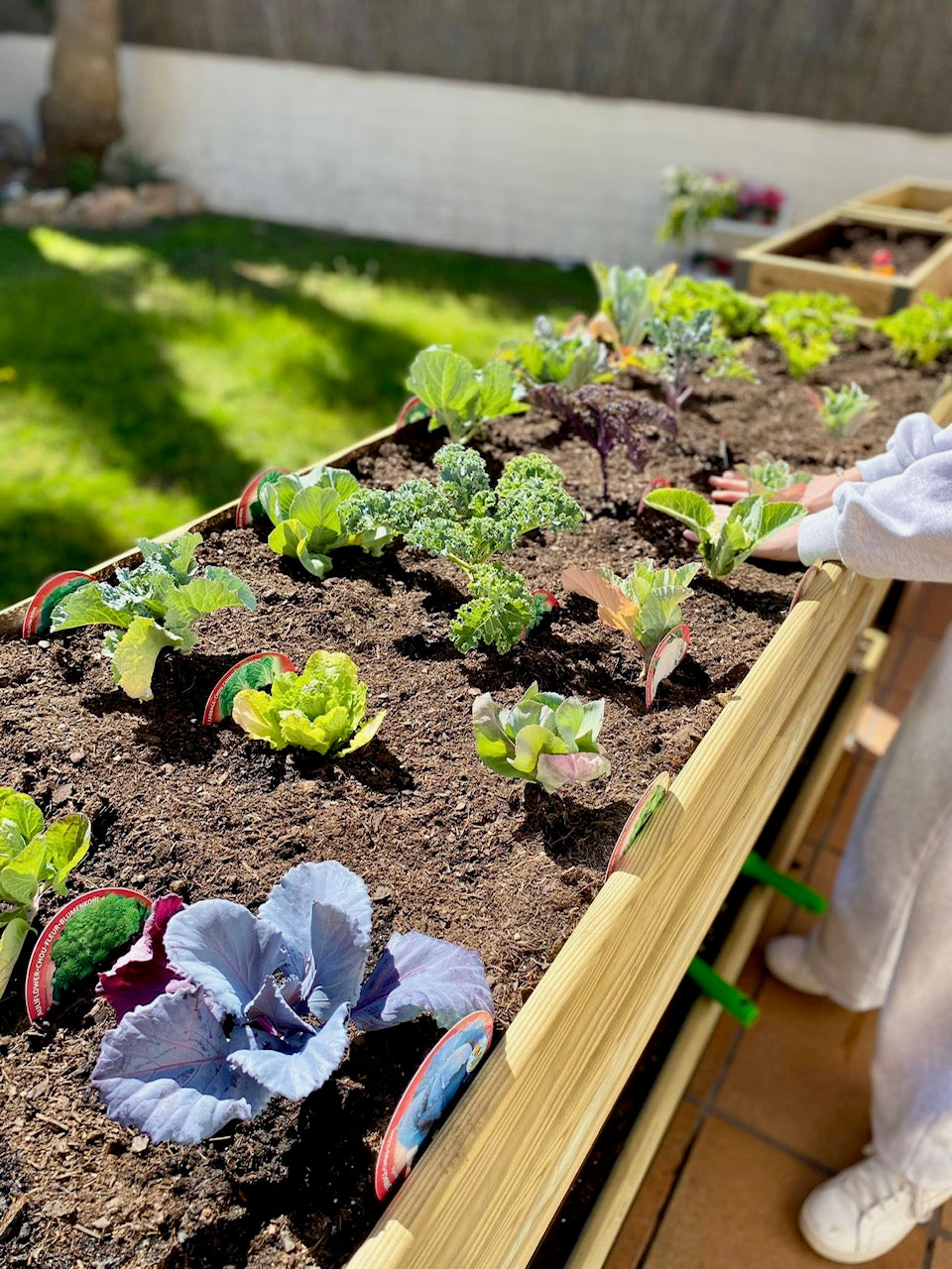 MI HUERTO URBAN Jardinera Elevada Madera con Bandeja Recoge Aguas | Estructura Metálica | Marrón | 90x40x38cm_4