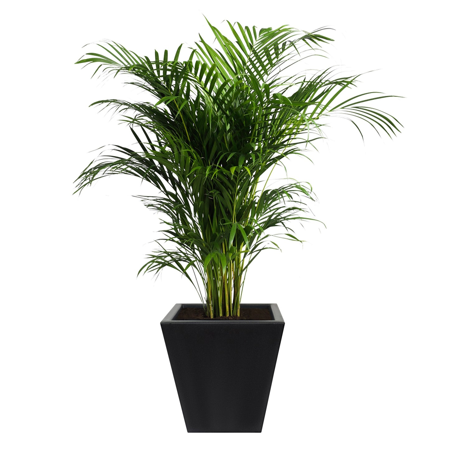 Macetero De Polietileno Por Rotomoldeo Color Antracita 40x40 Cm