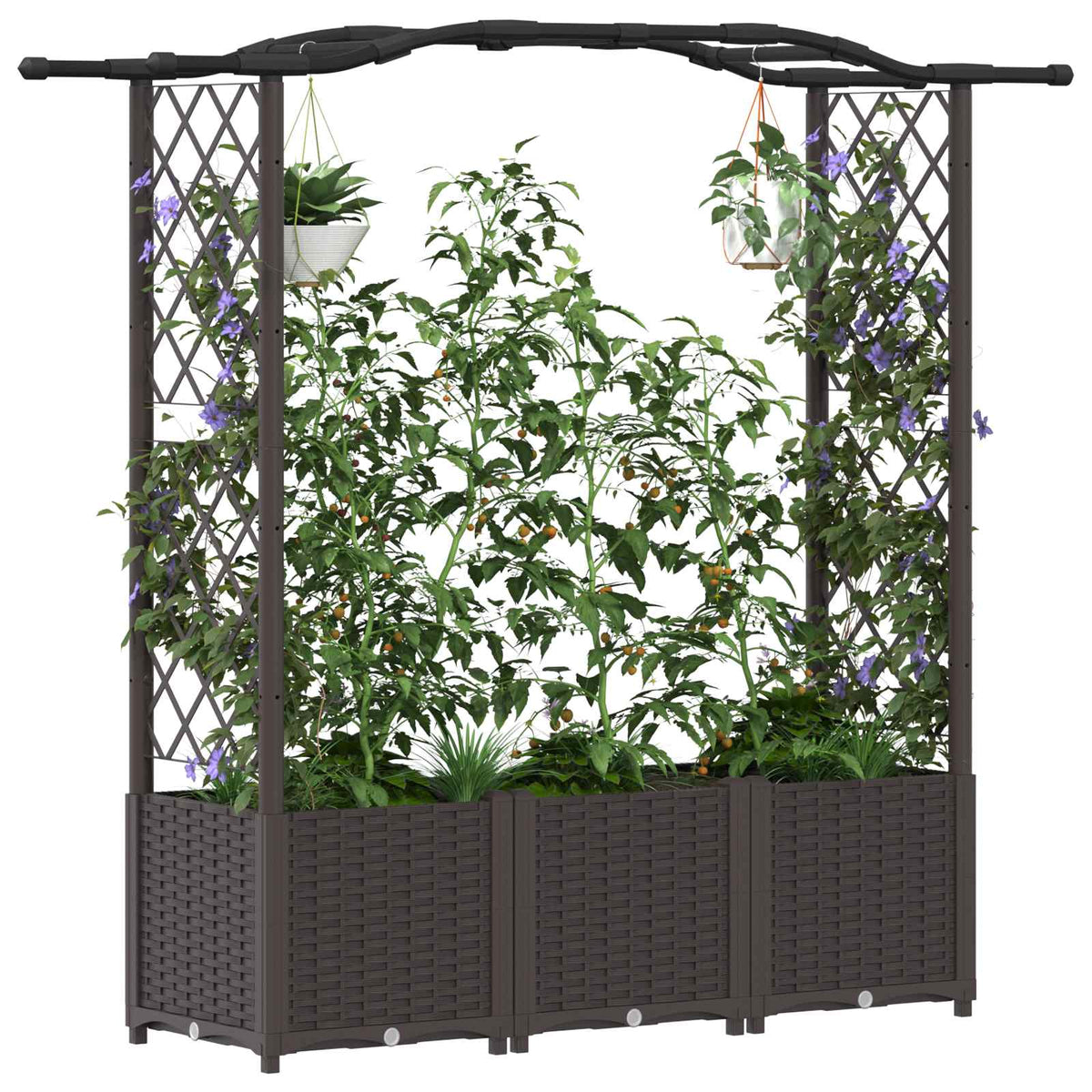 Cama Elevada Con Trellis Y Techo Marrón 164 X 40 X 138 Cm Pp_2