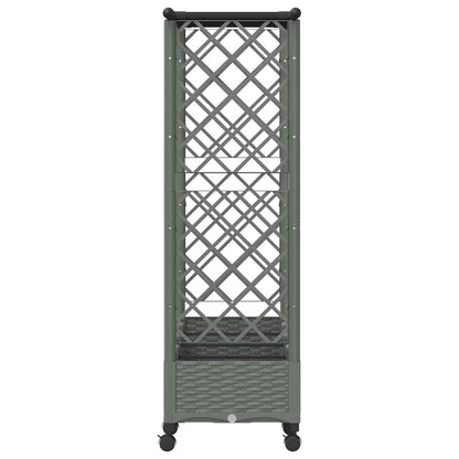 Cama Elevada Con Trellis Y Techo Gris Claro 203 X 40 X 127 Cm_4
