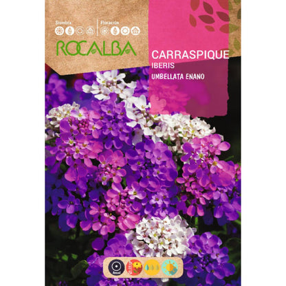 Sementes de Carraspique umbellata anã, variadas