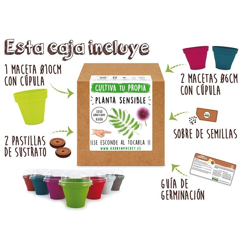 Kit de plantação de plantas sensíveis Garden Pocket