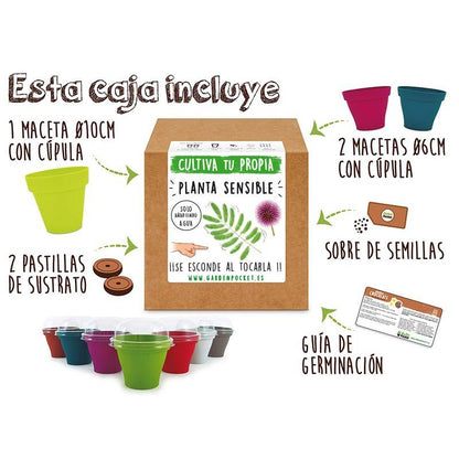 Kit de plantação de plantas sensíveis Garden Pocket