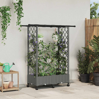 Cama Elevada Con Trellis Y Techo Gris Claro 122,5 X 40 X 127 Cm_1