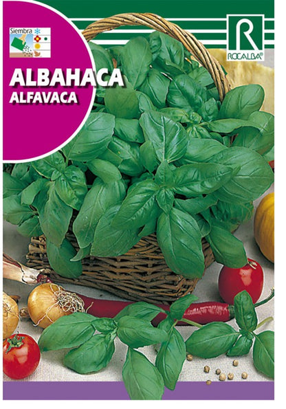 Semillas Albahaca Hoja Ancha 4g_0