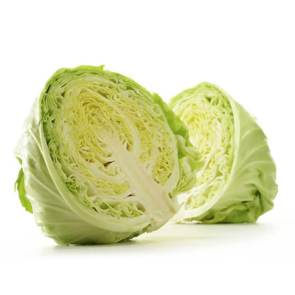 Muda de couve em vaso de 11 cm