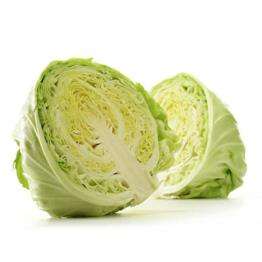 Muda de couve em vaso de 11 cm