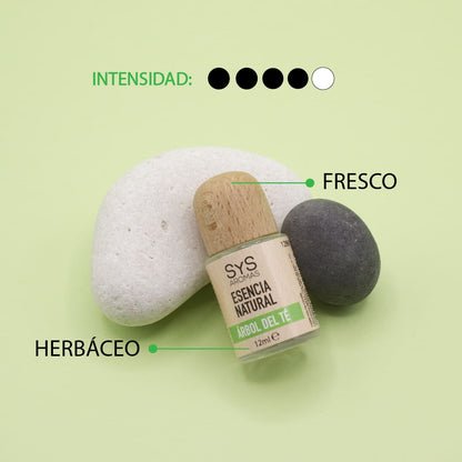 Esencia Natural Aromática Árbol de Té 12 ml | Aroma Herbal y Purificante | Perfume Concentrado | Uso en Difusores_1