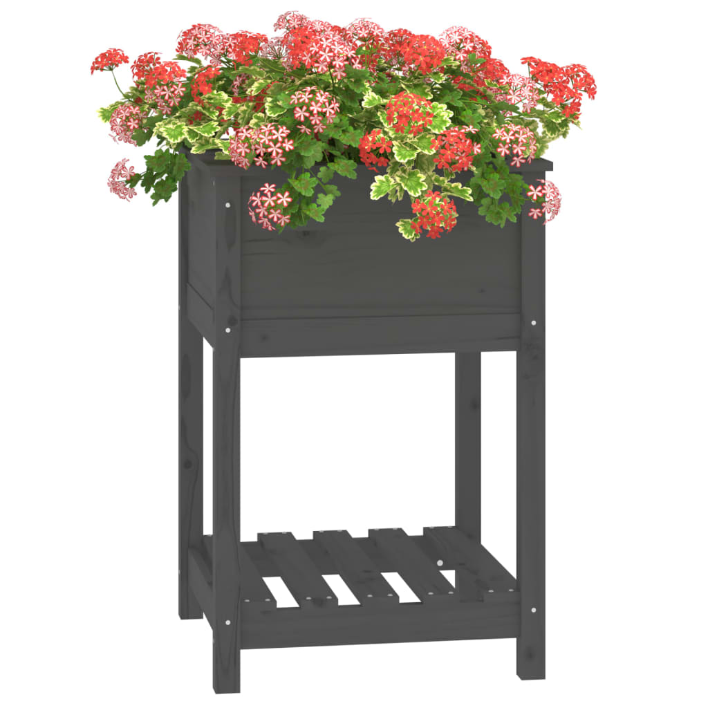 Jardinera Con Estante Madera Maciza De Pino Gris 54x34,5x81 Cm_3
