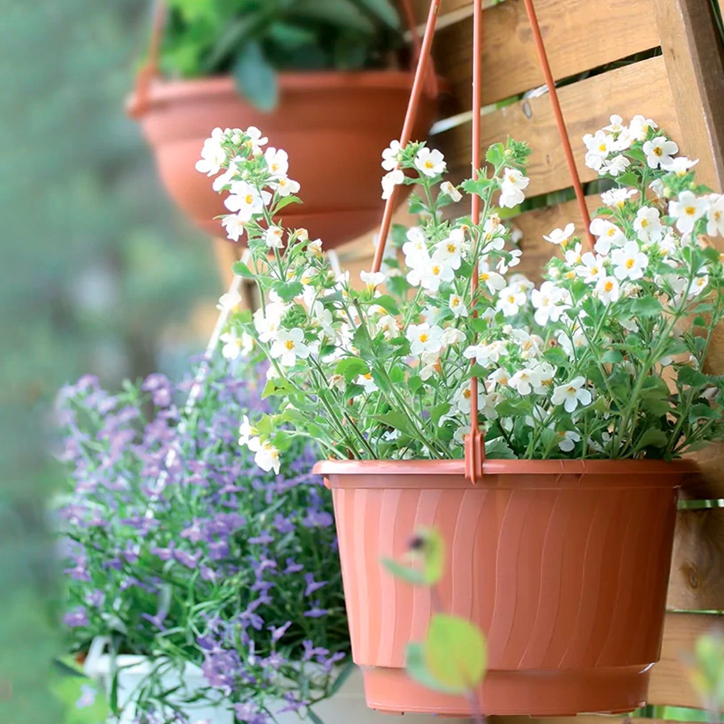 Macetero Colgante Pro 6,5l., Dimensiones (mm) 270x270x165, Color Blanco