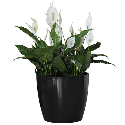 Macetero Magnolia 250 Negro_1