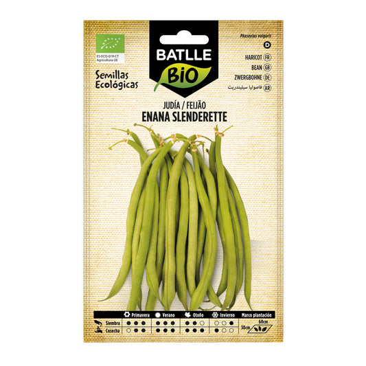 Sementes de feijão Slenderette biológicas Batlle
