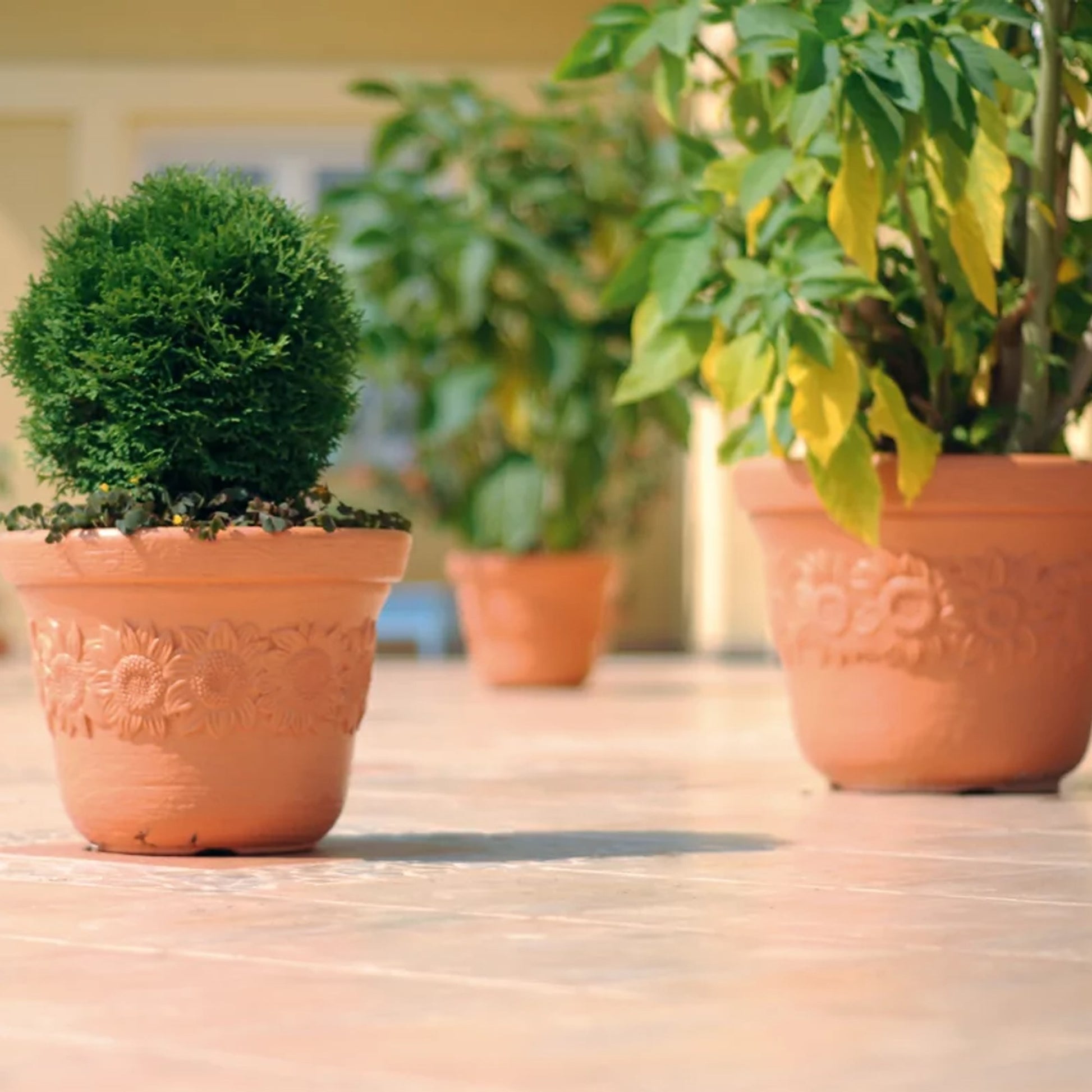 Maceta Sunny 60l., Dimensiones (mm) 570x570x435, Color Ladrillo