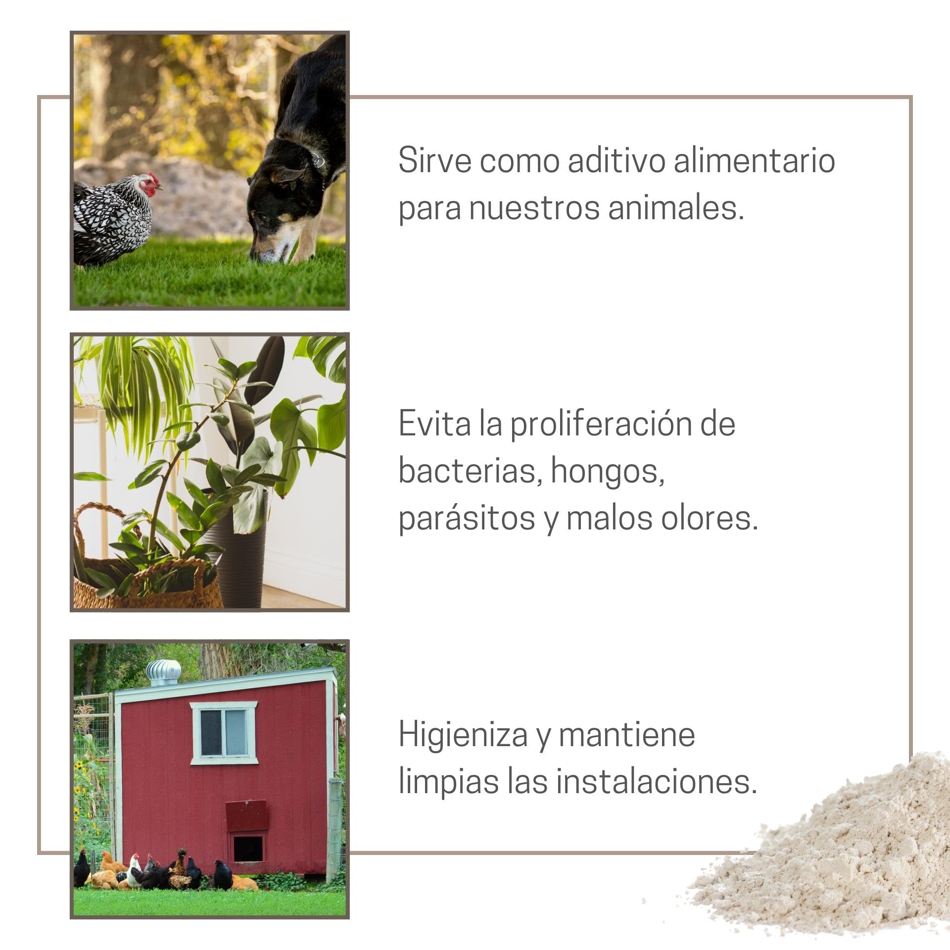 Tierra De Diatomeas Micronizada - 100% Natural Y Ecológica - 225 G - Múltiples Usos - Polvo De Diatomeas En Envase Pulve_3