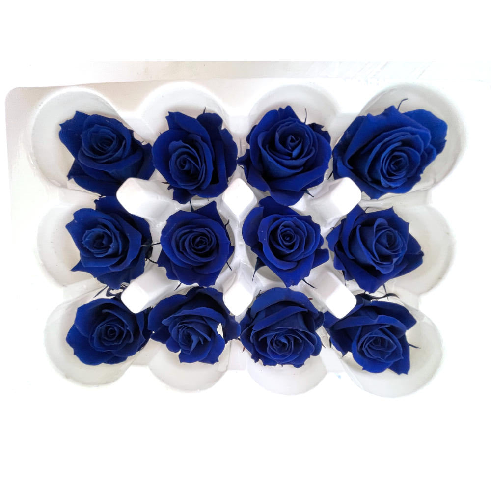 Mundo Eterno Rosas Preservadas 12 Unidades Azul Oscuro 4cm_0
