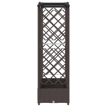 Cama Elevada Con Trellis Y Techo Marrón 203,5 X 40 X 123 Cm Pp_3