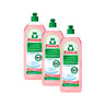 Embalagem de 3 detergentes para máquina de lavar louça Frosch framboesa 750 ml