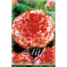 Bulbo Begonia Híbrida Marmorata 3 uds